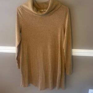 Turtleneck ribbed sweater mini dress